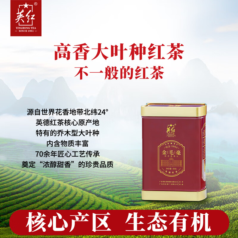 英红 英红九号 特级明前春茶金毛室 50克 [25年春茶]高清大图