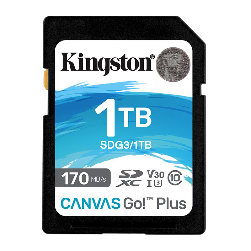 金士顿(Kingston)1TB SD存储卡 U3 V30 相机内存卡 高速sd卡大卡 4K超高清拍摄 读速170MB高清大图