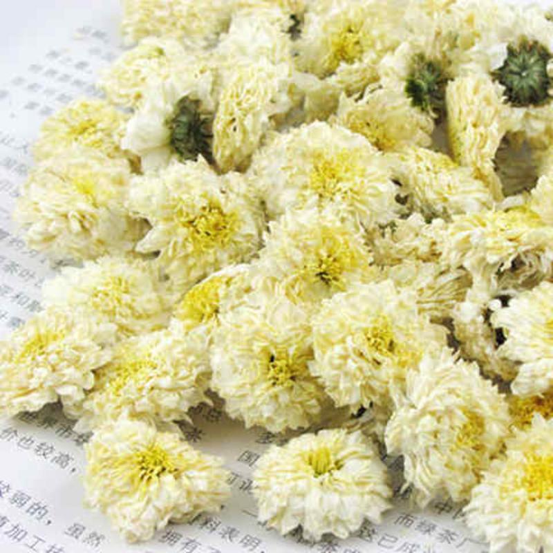 贡菊白菊花草茶白菊花茶叶胎菊共 买1发5共250g