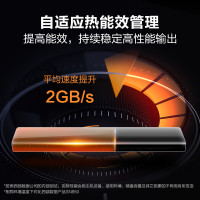 西部数据(Western Digital)2T 笔记本台式机SSD固态硬盘 M.2接口(NVMe协议) WD_BLACK SN850X PCIe Gen4游戏高性能版|黑盘系列