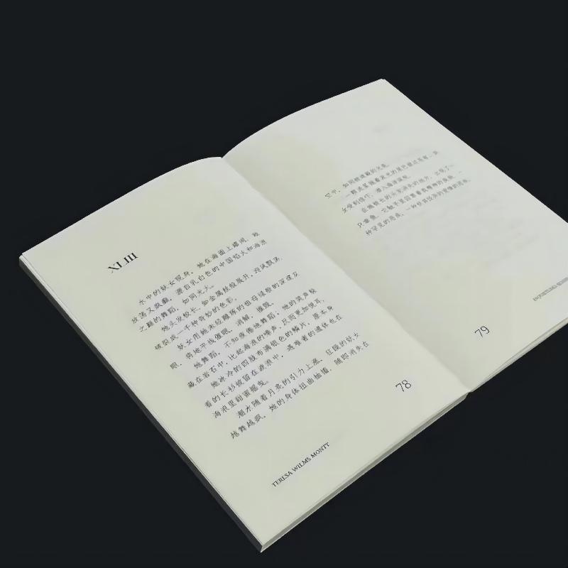 [正版] 在大理石的沉默中 [智利]特蕾莎·威尔姆斯·蒙特 智利女诗人用生命谱写的爱情悲歌 散文诗集 外国诗歌文学书籍高清大图