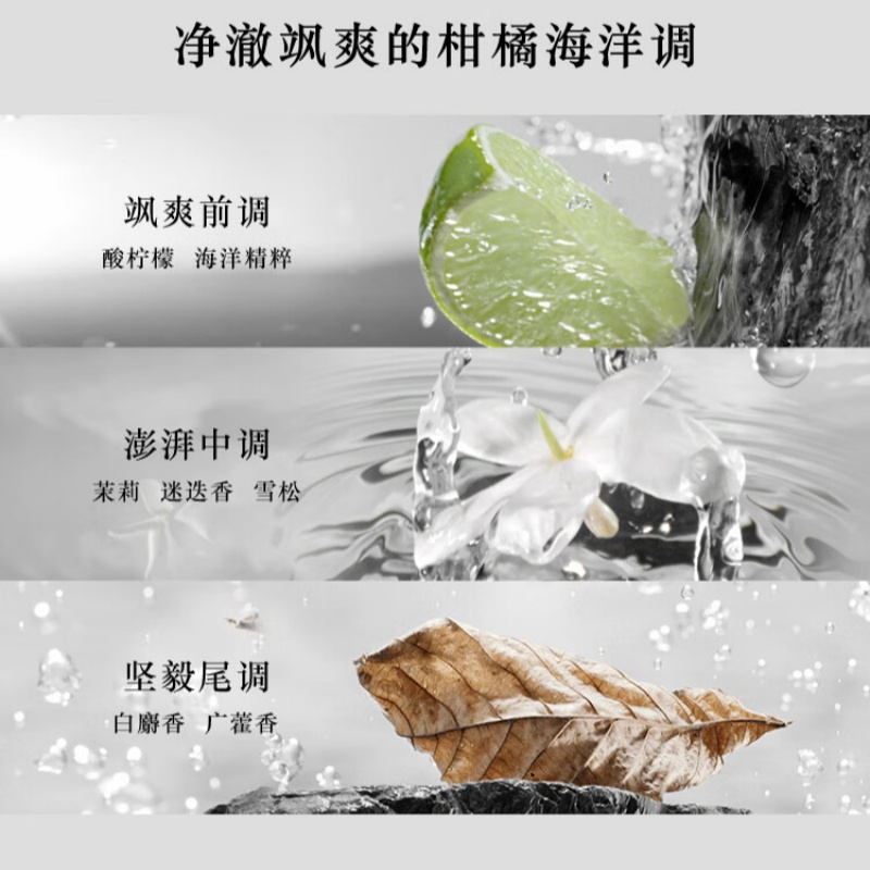 阿玛尼(ARMANI)寄情男士香水(经典版) 50ml高清大图