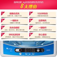 小天鹅(LittleSwan)TB80V320 8公斤KG宿舍家用非变频全自动波轮洗衣机带甩干脱水 迷你 洗衣机自编程