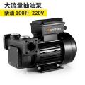 电动抽油泵12V24V220V大功率大流量自吸泵齿轮泵柴油加油机 升级220V100升自吸泵_482