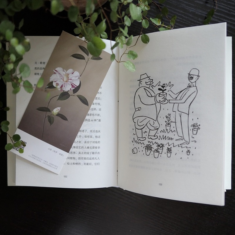 [醉染正版]园丁的一年 90周年珍藏版 花友口耳相传的园艺文学经典 家庭园艺养花种花书籍从今天起做一个幸福的花痴每个人心高清大图