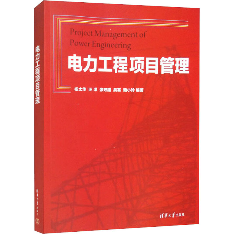 正版新书]电力工程项目管理杨太华、汪洋、张双甜、吴芸、赖小玲高清大图