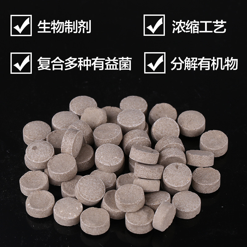 鱼缸硝化细菌水族净水剂水质稳定剂细菌养鱼非药品高清大图