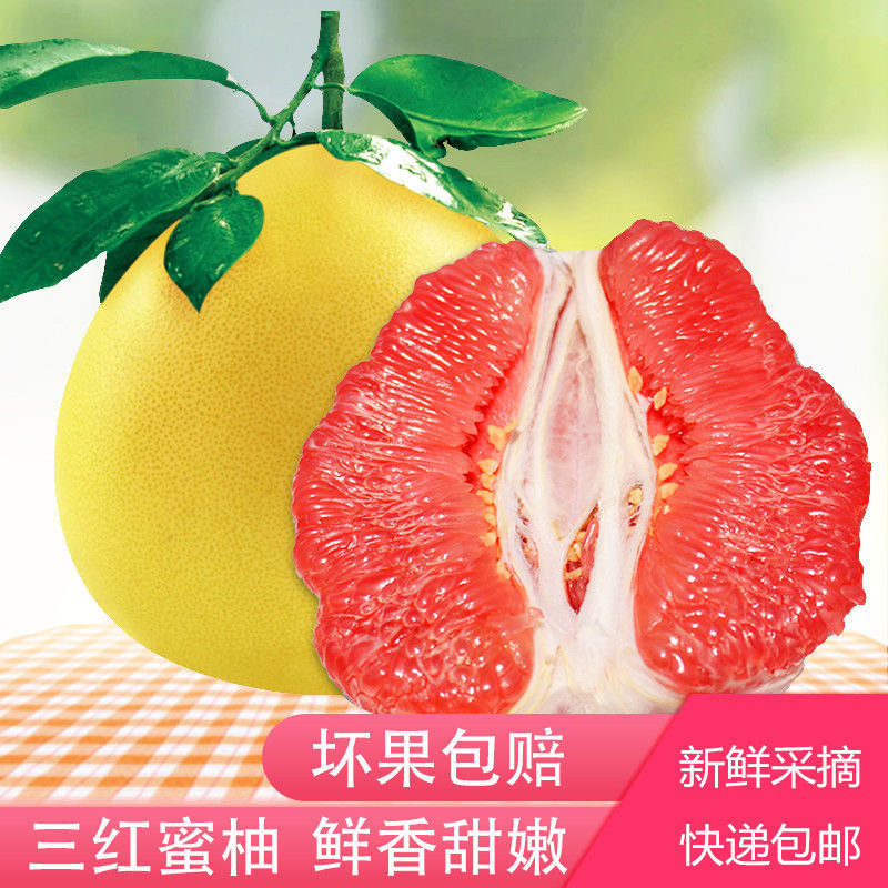 [五个农民]团购专用 300份 3斤/份福建平和琯溪红心柚袋装