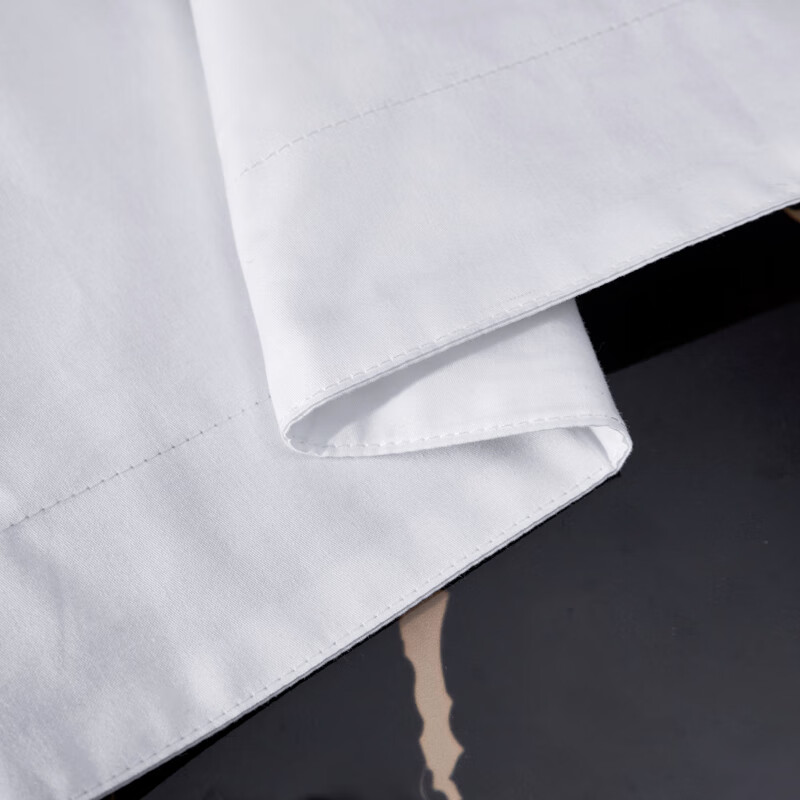 点途 DT-17 100%纯棉五星级酒店床品四件套 白色 1.8米床单款被套高清大图