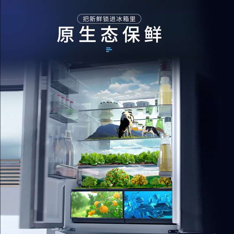 澳柯玛法式四门冰箱BCD-521WPGSV高清大图