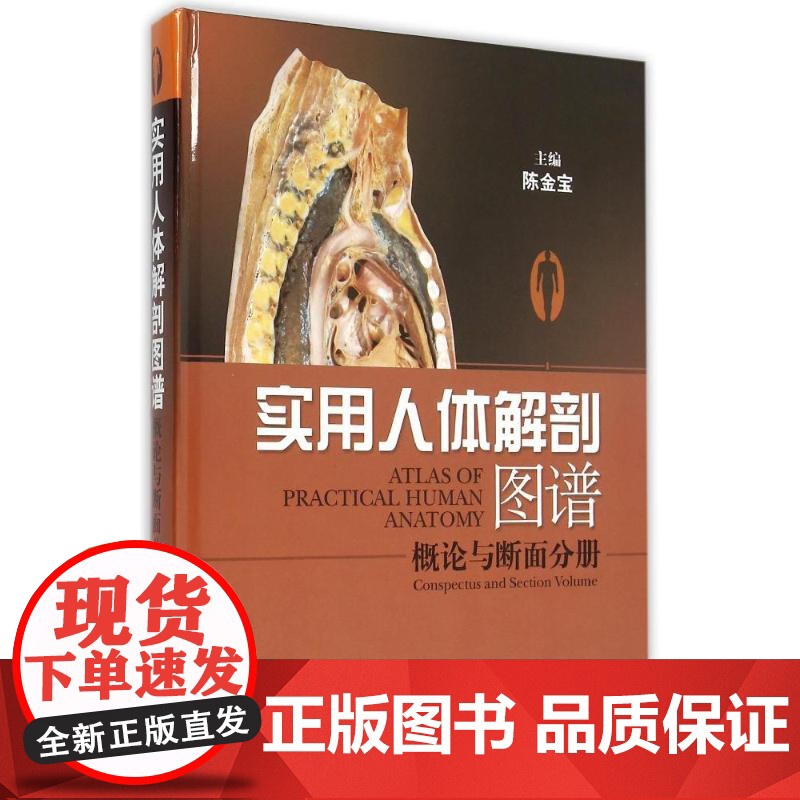 实用人体解剖图谱 概论与断面分册 陈金宝 医学类工具书 医药卫生 上海科技 世纪出版高清大图