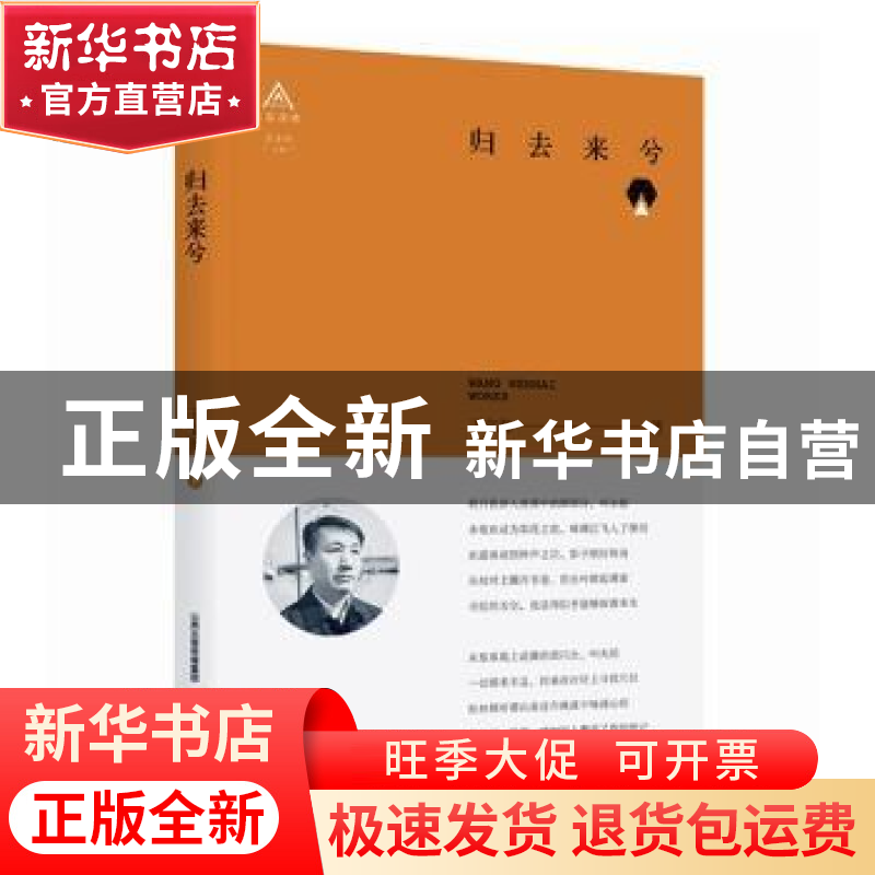 正版 归去来兮 王文海著 北岳文艺出版社 9787537859196 书籍