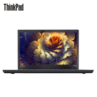 联想ThinkPad T470P-13CD 14英寸笔记本电脑(I5-7300HQ 8G 500G+128G固 2G独)