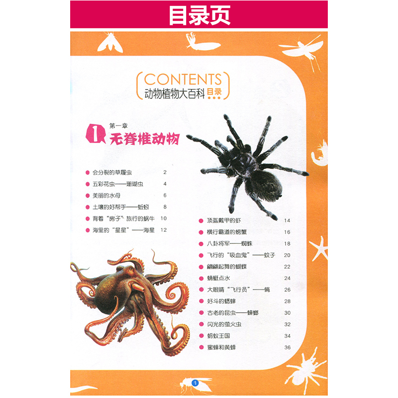[正版] 动物植物大百科 青少版精装童书动物植物少年版小学生科普百科知识书6-7-8-9-10-12岁3/4/5/6三