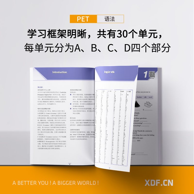 [正版]剑桥PET语法精讲精练 通用五级 pet备考资料英语入门证书考试 语法词汇模考书籍 英语 对应朗思A2高清大图