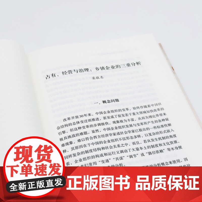 改革与变奏:乡镇企业的制度精神 渠敬东编著小镇喧嚣乡土中国城乡二元结构 三联书店高清大图