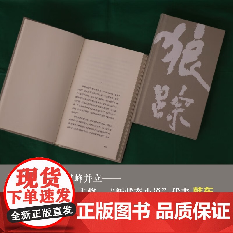 狼踪 韩东著 关于破裂 背叛 名利 欲望 哀悼与悲悯 小说高清大图