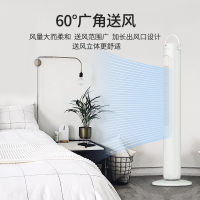 先锋(SINGFUN)塔扇电风扇家用落地扇定时柔风摇头三档调节办公室卧室风扇DTS-G15H