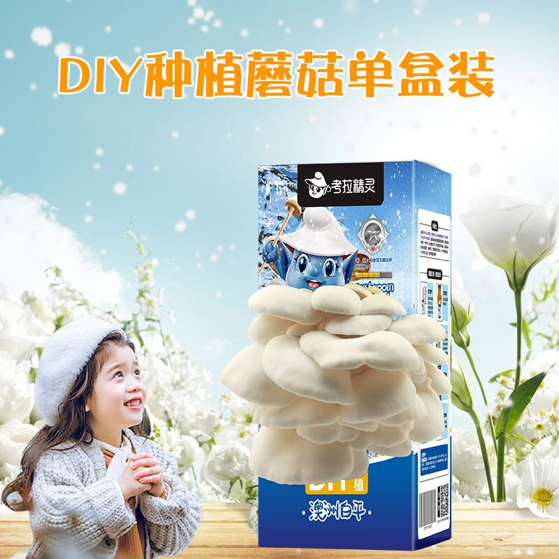 机乐堂(JOYROOM) 考拉精灵蘑菇盒子+IAM City Farmer盆栽甜椒 DIY趣味种植盆栽