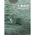 加厚浴室防滑垫卫生间地垫吸水脚垫纯色柔软家用垫卧室地毯_2_177