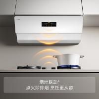 方太CXW-258-02-F1S-W油烟机抽油烟机燃气灶家用大吸力油烟机 26巡航风量 齐平橱柜[白]