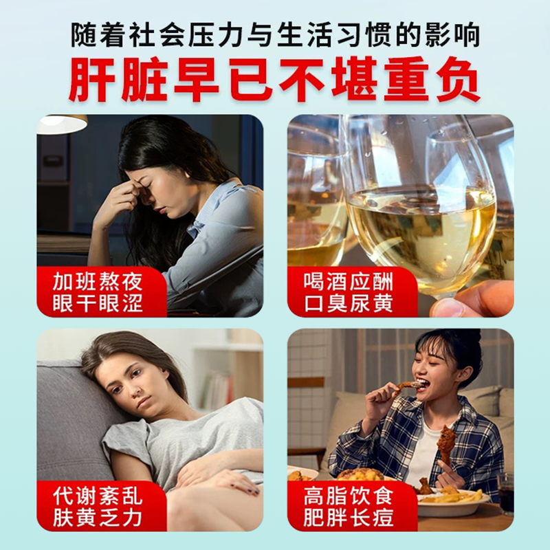 北京同仁堂内廷上用 灵芝绞股蓝葛根胶囊 蓝帽子保健化学性肝损伤