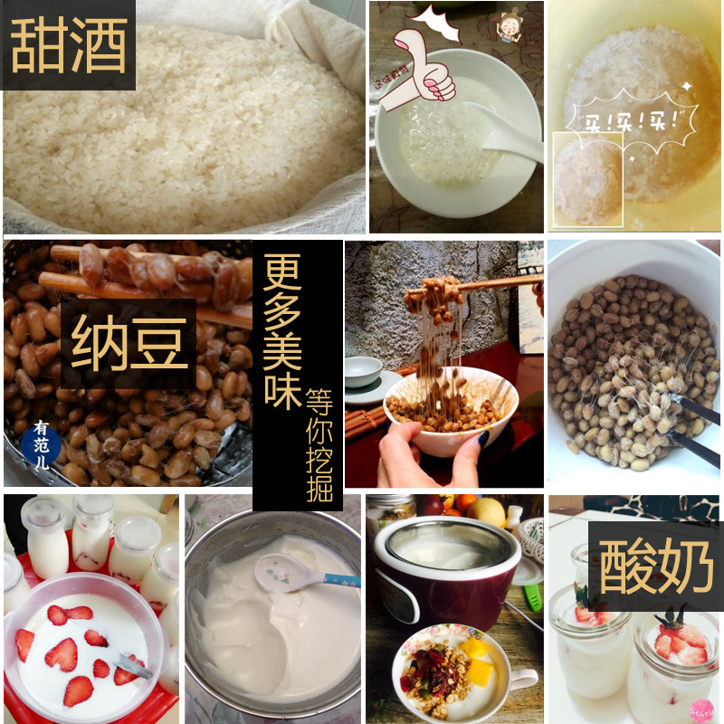 家用酸奶机1l大容量不锈钢内胆分杯迷你机器全自动|紫色(钢胆+送20小包菌粉+4分杯)