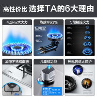 万家乐 燃气灶煤气灶灶台嵌两用灶具 猛火爆炒 易擦洁净设计 不锈钢高效猛火 大火力4.2kw液化气JZY-DQZ01