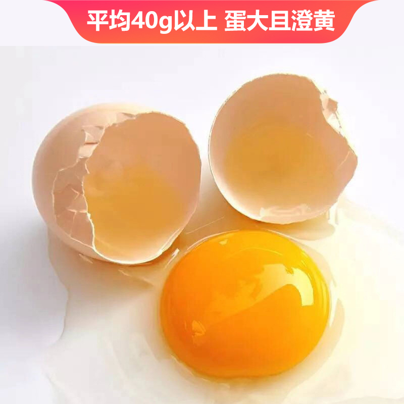 五个农民 40枚装 1600g农家散养草鸡蛋 现捡现发土鸡蛋 农家自养 营养美味