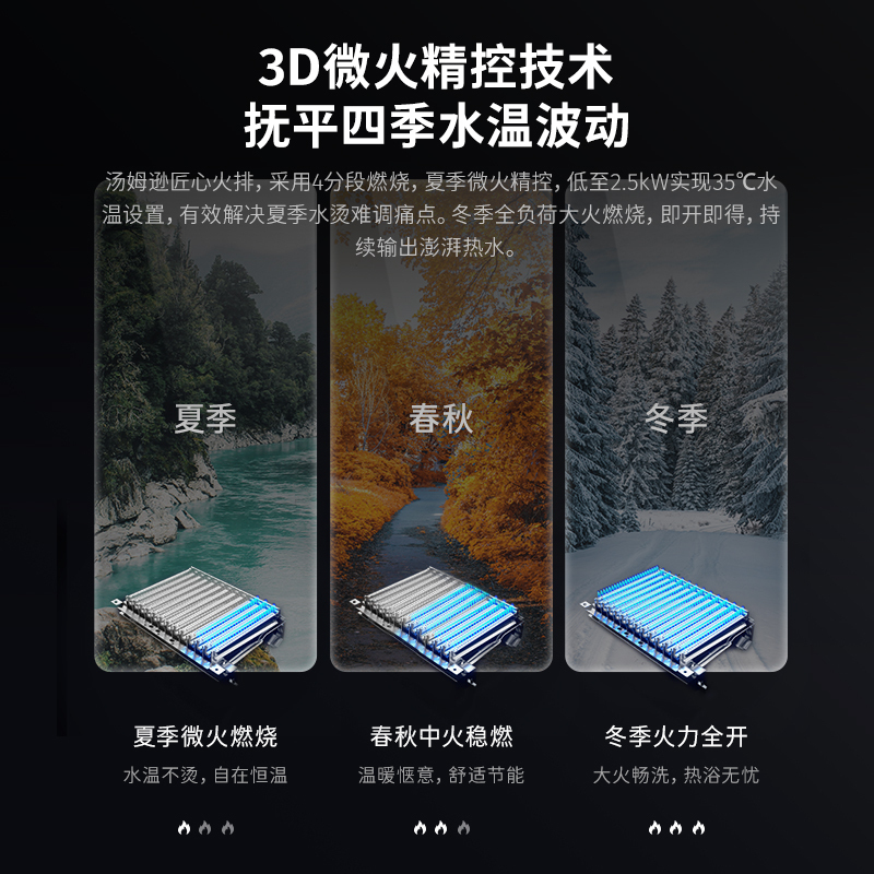 THOMSON法国THOMSON汤姆逊 家用燃气热水器天然气恒温 变频节能 四季自动调温 低水压启动 13RH2