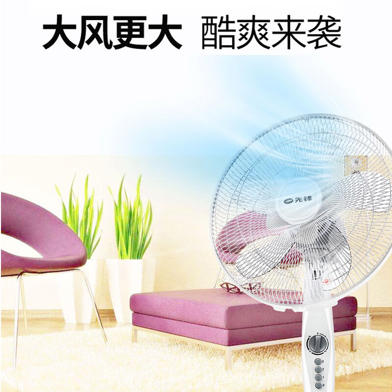 先锋(SINGFUN)电风扇 落地扇家用机械三档大风量风扇FS40-16D/DD1607 办公宿舍10叶定时可摇头电扇高清大图