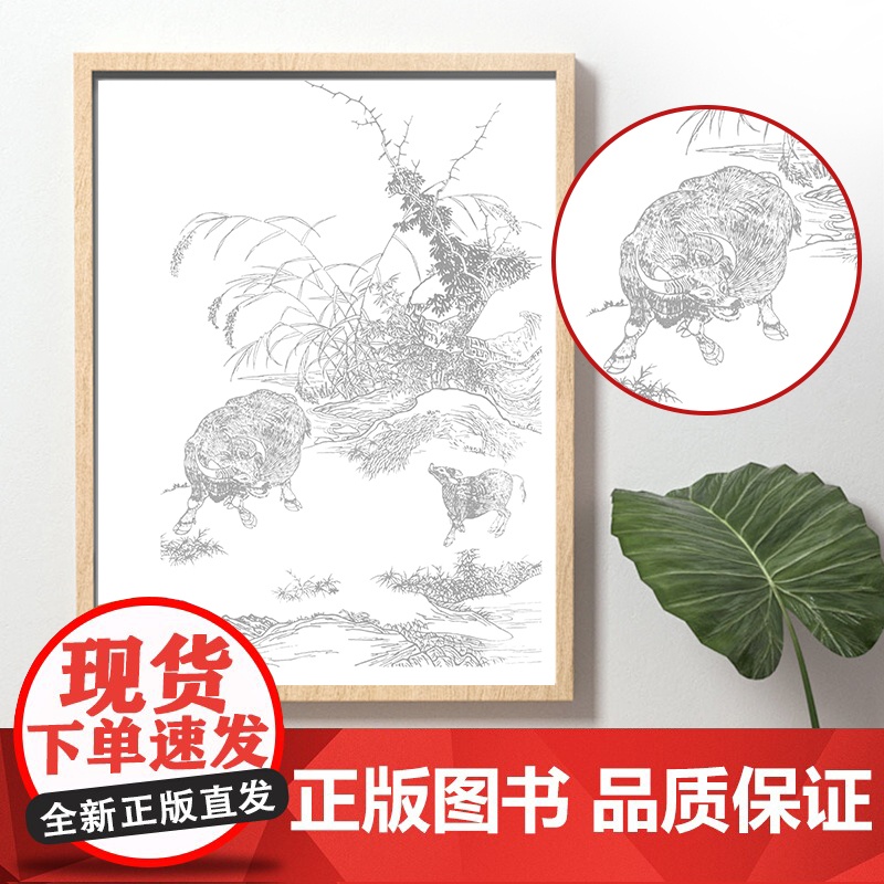 中国画白描入门描摹本国画工笔花卉人物美术套装画本工具描红书初学者画画临摹画册毛笔绘画练习教材高清大图