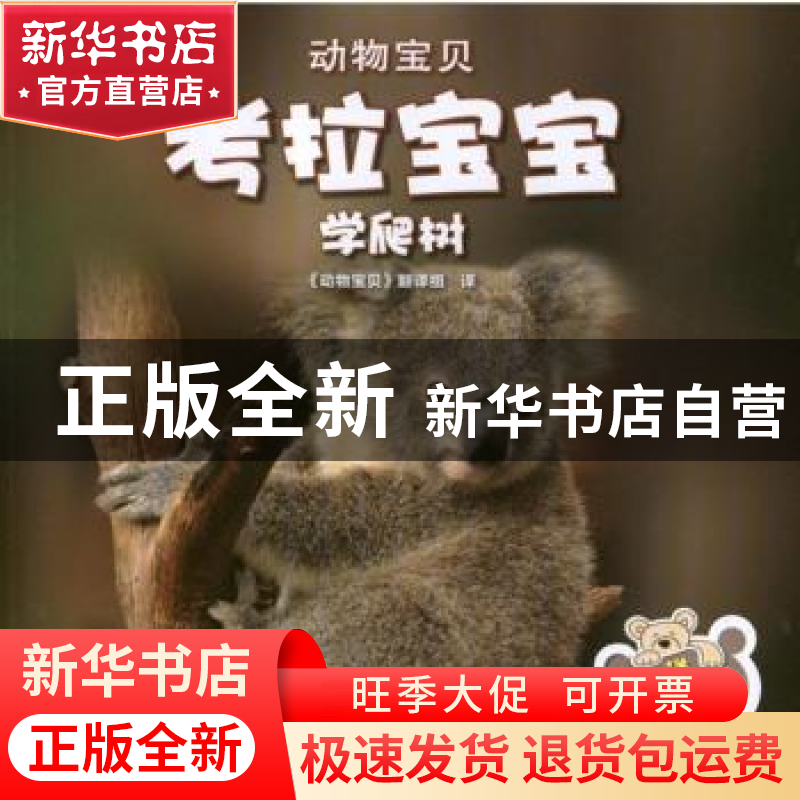 正版 考拉宝宝学爬树 (印)玛里琳·戈尔[著] 中国财政经济出版社 9高清大图