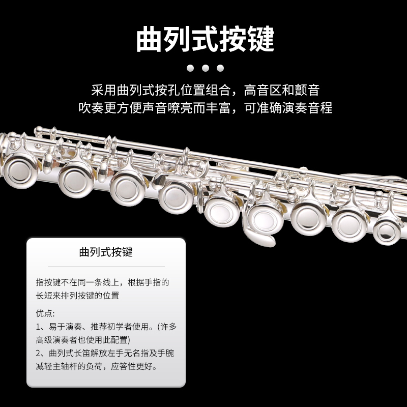 朗动(LMOVE) 长笛乐器LD-602 17开闭双用富贵银长笛学生初学儿童入门考级演奏