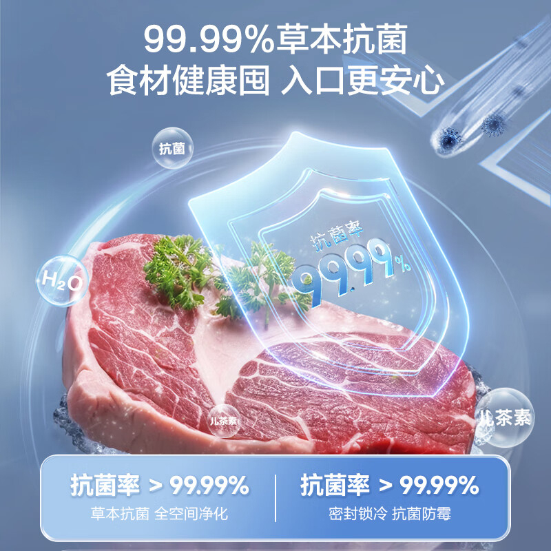 容声(Ronshen)200升减霜冰柜家商两用冷藏冷冻转换单温一级能效节能省电卧式冷柜 BD/BC-200ZMSMB