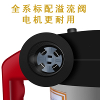 抽油泵柴油12V电动24V220V伏自吸泵加油泵加油机加油抢抽油器小型 柴油滤清器