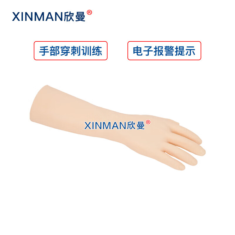 欣曼科教 高级电子手臂静脉穿刺训练模型高清大图