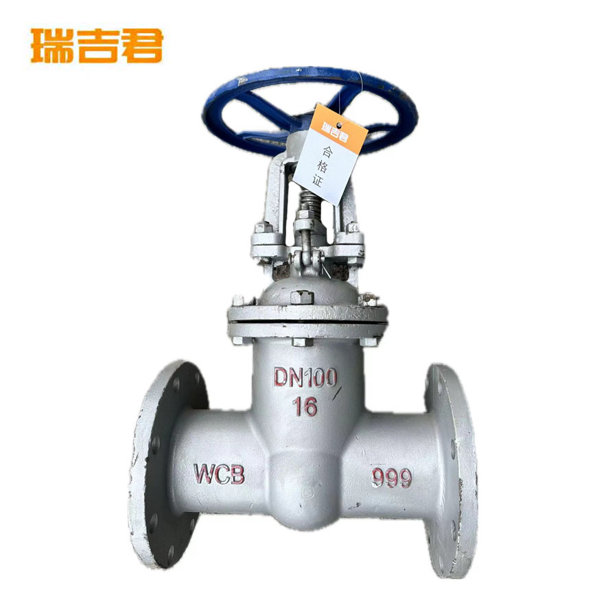 瑞吉君 法兰铸钢闸阀 DN65