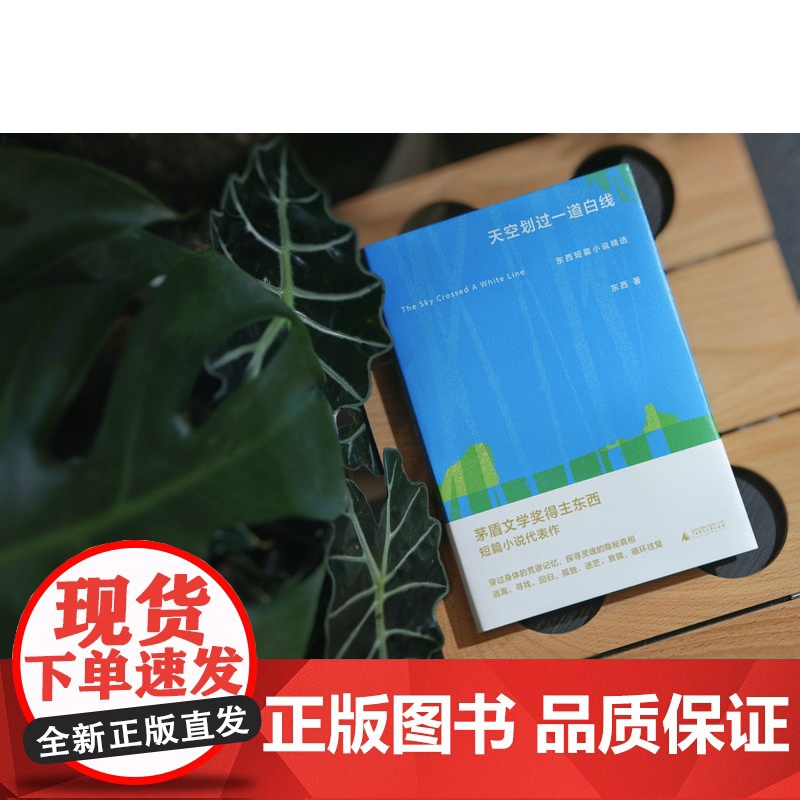天空划过一道白线: 东西短篇小说精选 东西/著 茅盾文学奖 荒诞 身体 救赎 广西师范大学出版社高清大图