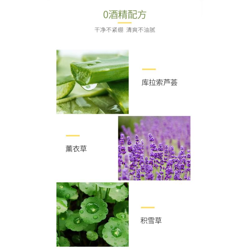 法兰琳卡自然护肤-50ml清透泡沫洁面膏(H)