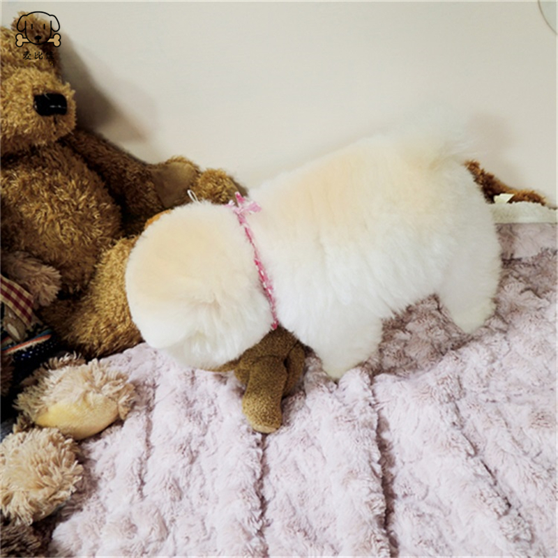 麦比佳 狗狗活体 纯种博美犬幼犬 活体宠物狗狗哈多利系球体博美狗 玩具型博美犬 茶杯犬 长不大博美日系俊介犬 视频挑选高清大图