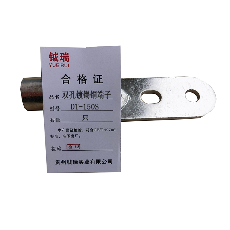 钺瑞双孔镀锡铜端子DT-150S/只