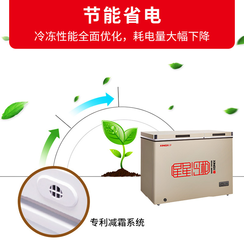 星星(XINGX)200L冰柜家用小型冷柜 大冷冻小冷藏双温铜管冷柜商用卧式冰柜 BCD-200GCT