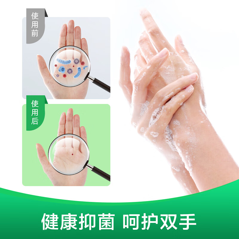 滴露洗手液 有效抑菌99.9% 儿童宝宝全家通用健康清洁洗手液 易冲洗 [特惠装]滋润450g+松木450g高清大图