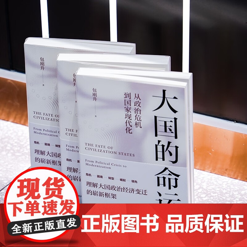 大国的命运 从政治危机到国家现代化 包刚升 著 理解大国政治经济变迁的崭新框架 政治高清大图