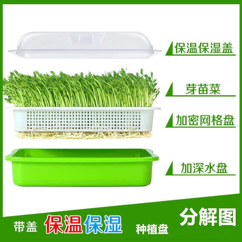 回固豆芽发芽盆生家用专用的豆子塑料筐小豆托盘容器塑料桶保温盘5套 5网盘 5底盘 5盖子 图片 高清实拍大图 苏宁易购