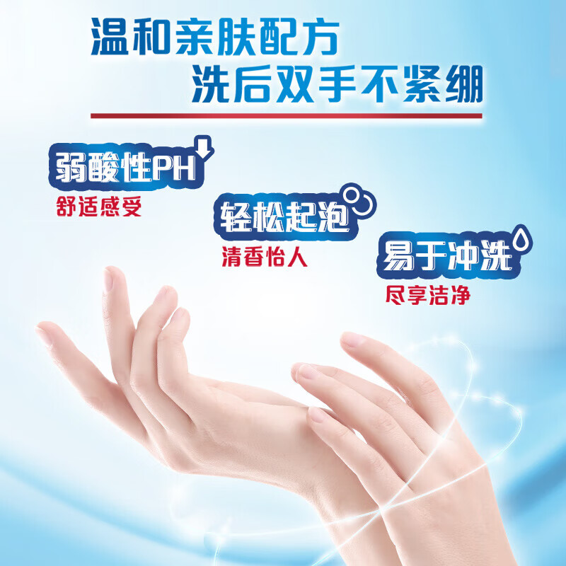 舒肤佳(Safeguard) 抑菌洗手液 纯白清香450g高清大图