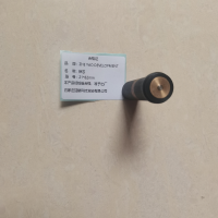 ZHE YAO DEVELOPMENT 铁芯 21*82mm 个