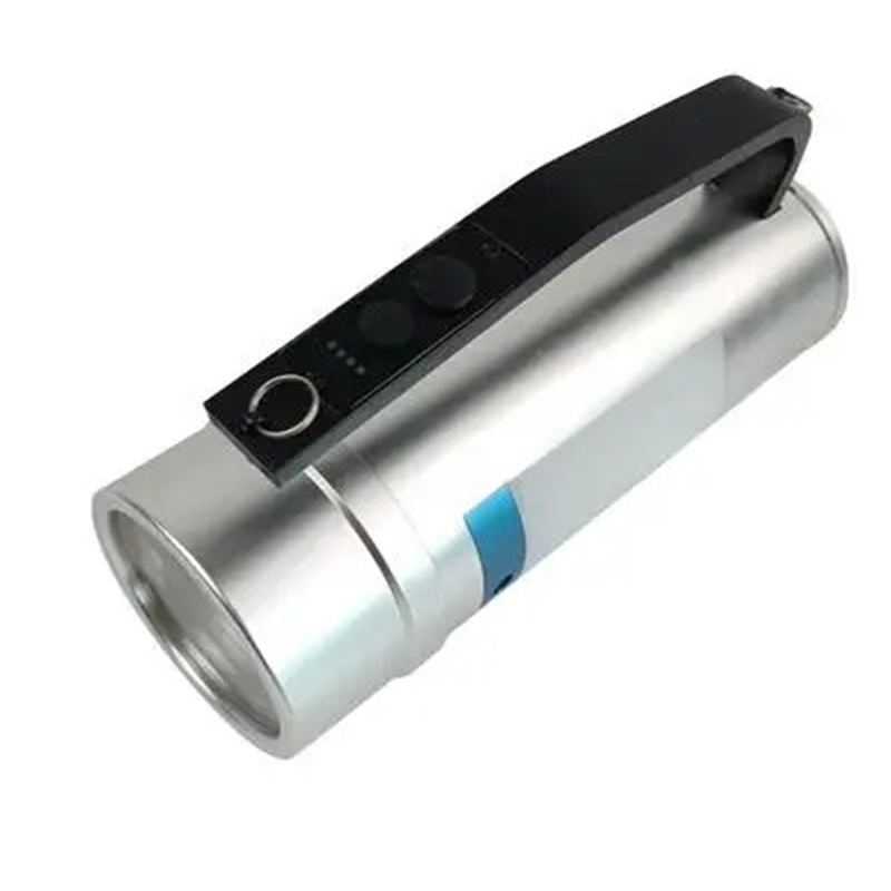 虎光风行 LED 多功能防爆手提灯 HG-7261 2x12W DC22.2V 银色高清大图