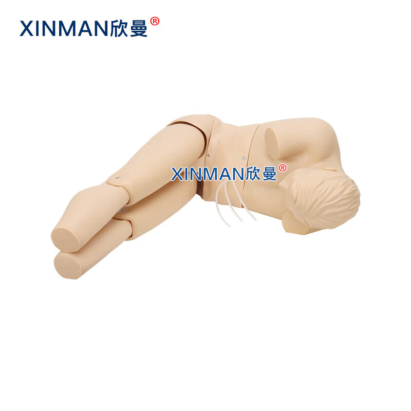 欣曼科教 腰椎穿刺模拟人 教学用腰椎穿刺训练模型XM-YC02高清大图